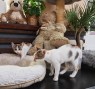 Adria_Ina (5)